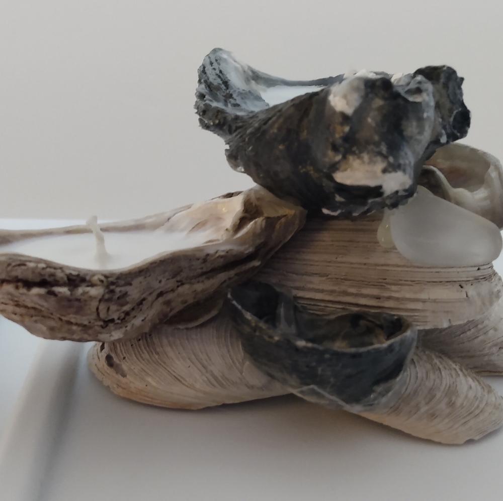 candle-shells